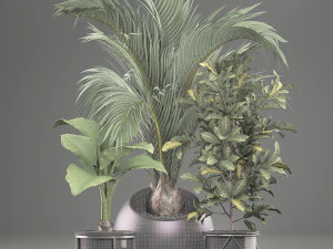 decorative plants in flower pots for the interior 468a 3D Model