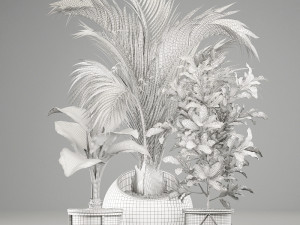 decorative plants in flower pots for the interior 468a 3D Model