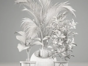 decorative plants in flower pots for the interior 468a 3D Model