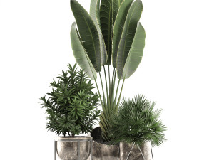 decorative plants in flower pots for the interior 469a 3D मॉडल