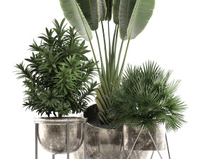 decorative plants in flower pots for the interior 469a 3D मॉडल
