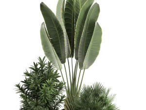 decorative plants in flower pots for the interior 469a 3D मॉडल