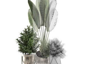 decorative plants in flower pots for the interior 469a 3D मॉडल