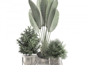 decorative plants in flower pots for the interior 469a 3D मॉडल