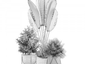 decorative plants in flower pots for the interior 469a 3D मॉडल