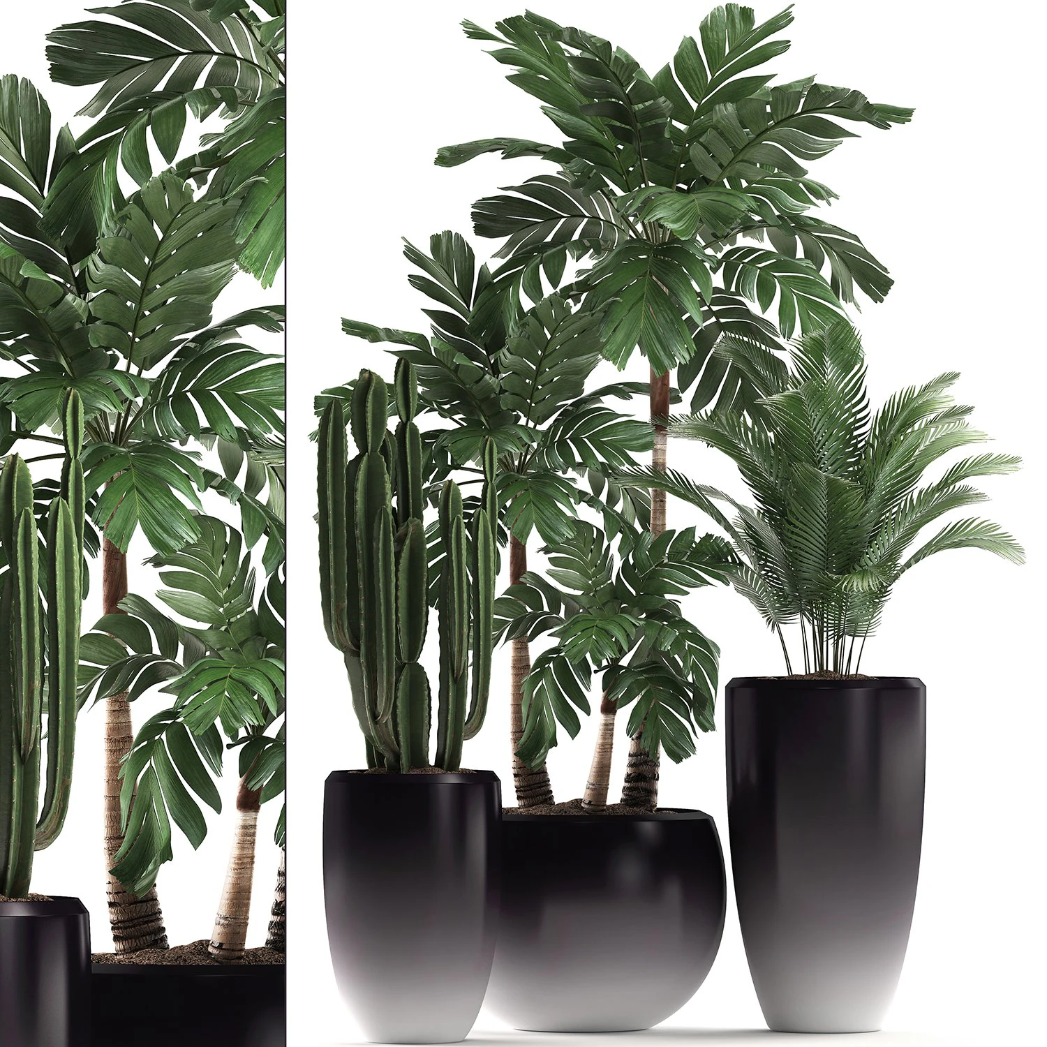 decorative plants in flower pots for the interior 470a 3D Model .c4d .max .obj .3ds .fbx .stl .blend 