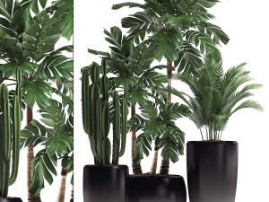 decorative plants in flower pots for the interior 470a Modelo 3D