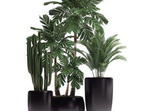 decorative plants in flower pots for the interior 470a 3D-Modell