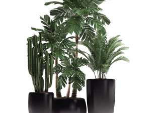 decorative plants in flower pots for the interior 470a 3D Model