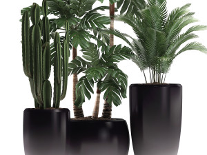 decorative plants in flower pots for the interior 470a 3D-Modell
