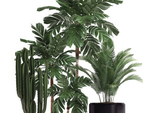 decorative plants in flower pots for the interior 470a 3D-Modell