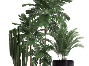 decorative plants in flower pots for the interior 470a 3D Model