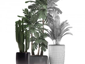 decorative plants in flower pots for the interior 470a 3D Model