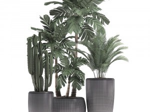 decorative plants in flower pots for the interior 470a 3D-Modell