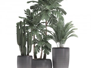 decorative plants in flower pots for the interior 470a 3D Model