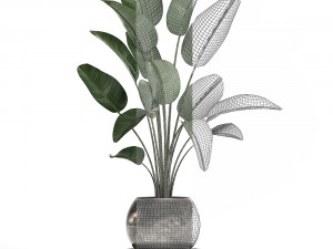 decorative plants in flower pots for the interior 471a Modello 3D