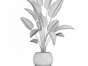 decorative plants in flower pots for the interior 471a Modello 3D