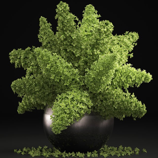 bouquet of green lilacs in a vase 94a 3Dモデル .c4d .max .obj .3ds .fbx .stl .blend 