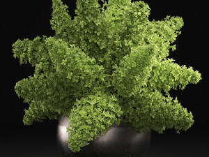 bouquet of green lilacs in a vase 94a 3D-Modell