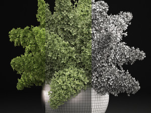 bouquet of green lilacs in a vase 94a 3Dモデル