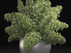 bouquet of green lilacs in a vase 94a 3Dモデル