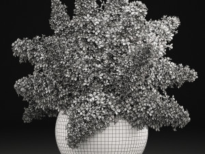 bouquet of green lilacs in a vase 94a 3Dモデル