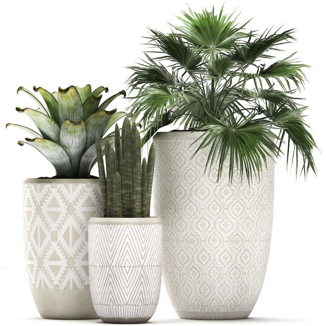 decorative plants in flower pots for the interior 473 3D मॉडल .c4d .max .obj .3ds .fbx .stl .blend 