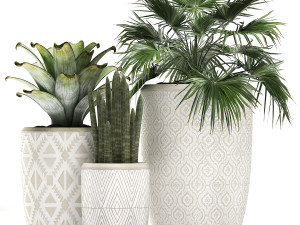 decorative plants in flower pots for the interior 473 3D Model