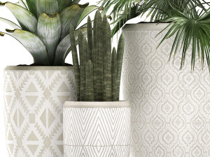 decorative plants in flower pots for the interior 473 3D मॉडल