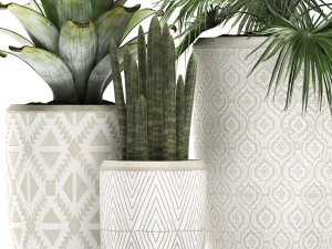 decorative plants in flower pots for the interior 473 3D Model