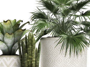decorative plants in flower pots for the interior 473 3D मॉडल