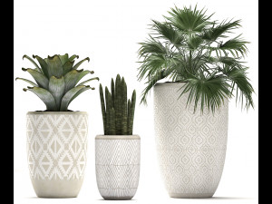 decorative plants in flower pots for the interior 473 3D मॉडल