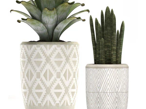 decorative plants in flower pots for the interior 473 3D Model