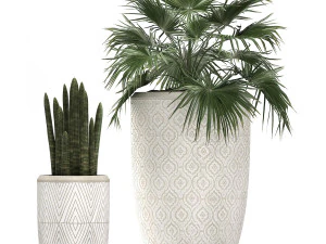decorative plants in flower pots for the interior 473 3D Model