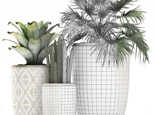 decorative plants in flower pots for the interior 473 3D Model