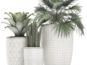 decorative plants in flower pots for the interior 473 3D Model