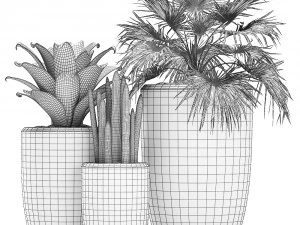 decorative plants in flower pots for the interior 473 3D Model