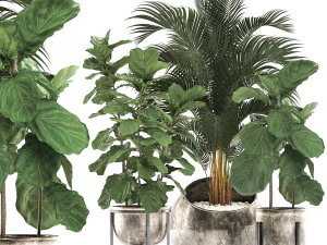 decorative plants in flower pots for the interior 474 3D Model