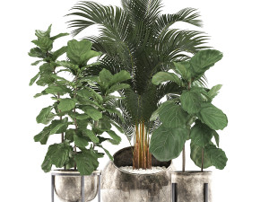decorative plants in flower pots for the interior 474 Modelo 3D