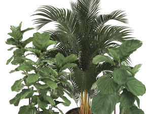 decorative plants in flower pots for the interior 474 Modelo 3D