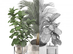 decorative plants in flower pots for the interior 474 Modelo 3D