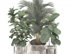 decorative plants in flower pots for the interior 474 Modelo 3D