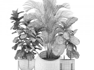 decorative plants in flower pots for the interior 474 Modelo 3D