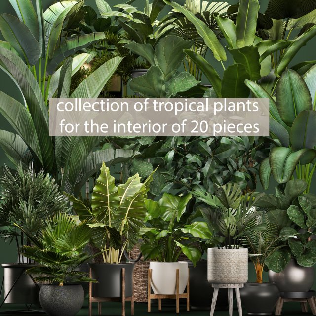 collection of potted plants for the interior of 20 pieces new 3D Model .c4d .max .obj .3ds .fbx .stl .blend 