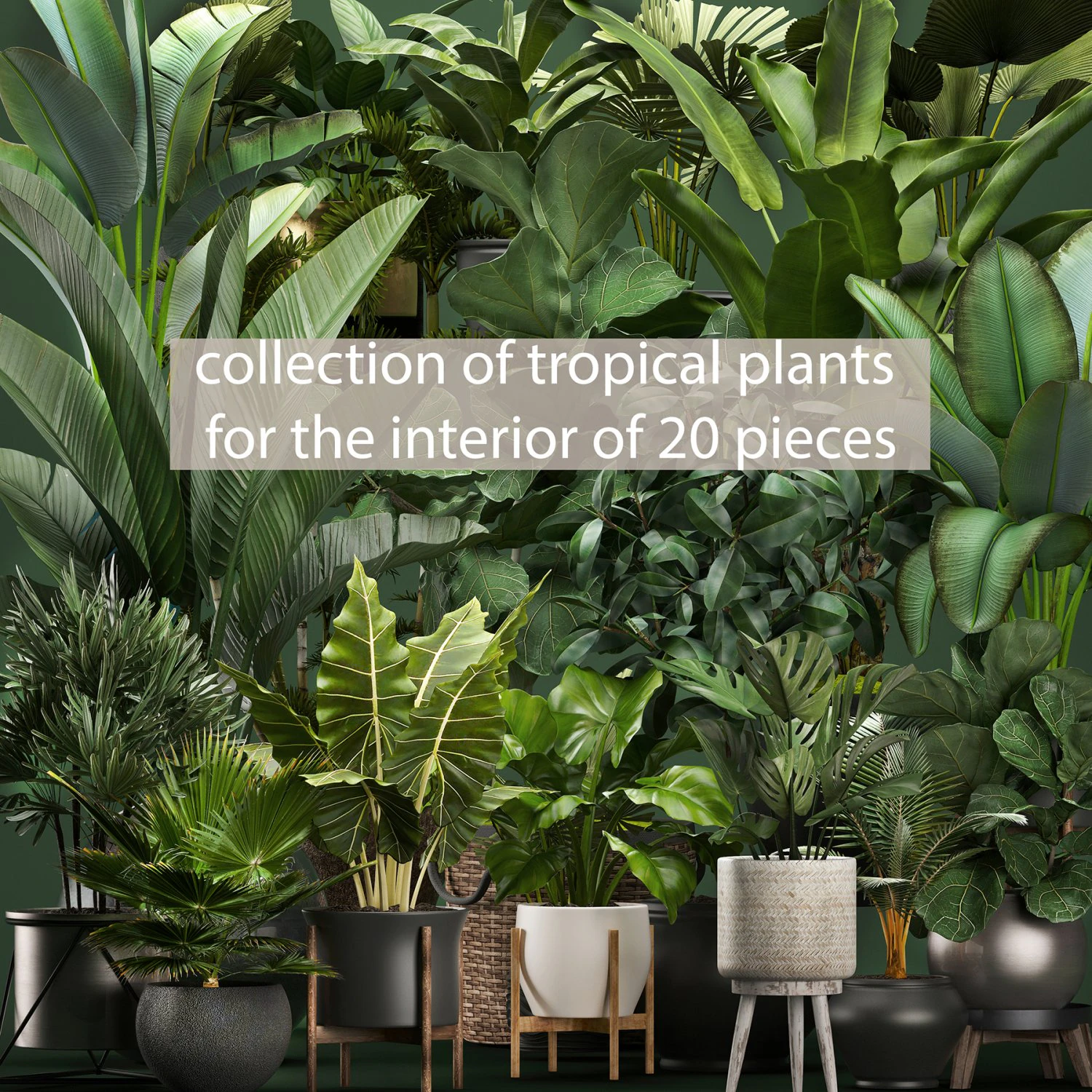 collection of potted plants for the interior of 20 pieces new 3D Model .c4d .max .obj .3ds .fbx .stl .blend 