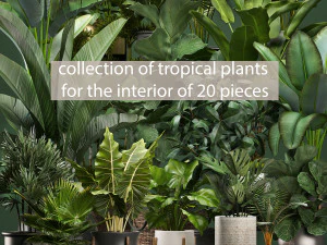 kolekcja roślin doniczkowych do wnętrz 20 sztuk nowość Model 3D