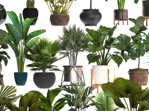 collection of potted plants for the interior of 20 pieces new 3D Model