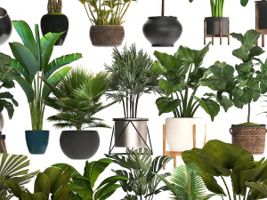 collection of potted plants for the interior of 20 pieces new 3D Model