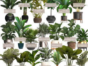 collection of potted plants for the interior of 20 pieces new 3D Model