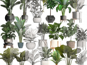 collection of potted plants for the interior of 20 pieces new 3D Model